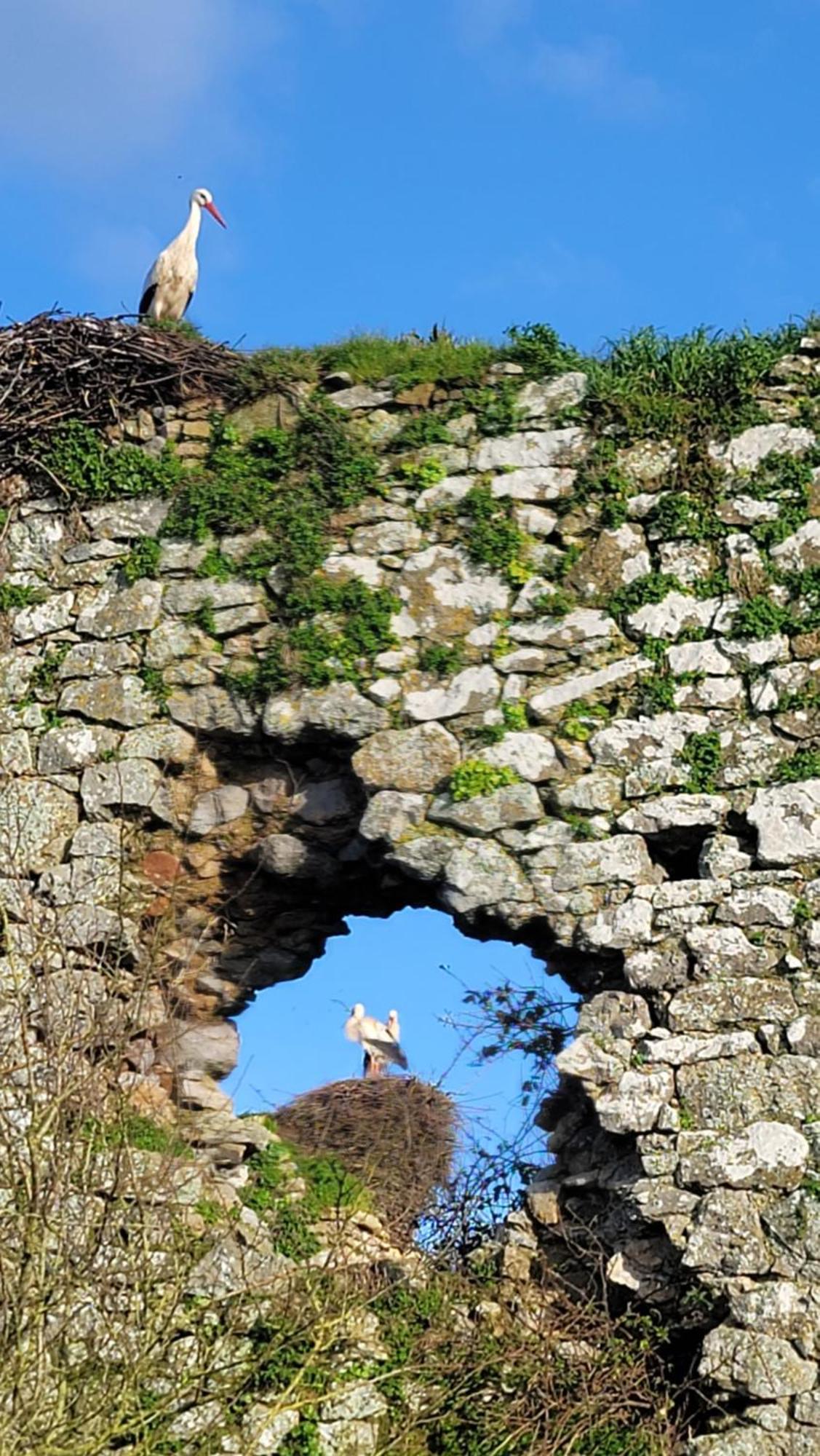 Gite Au Coeur Du Dday Brevands Exterior foto